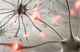 Trasmissione dell'impulso elettrico da un neurone all'altro.